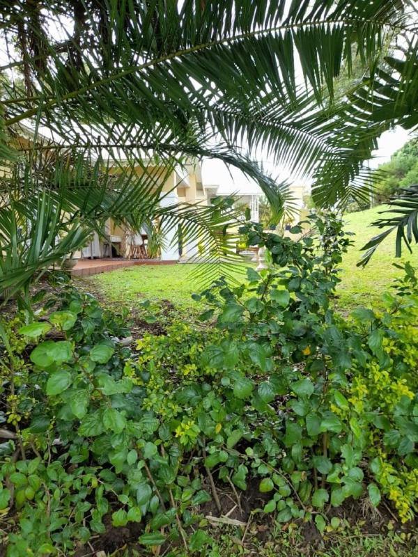Apartamento 19 MONTEGO BAY CARIBBEAN Estate Port Edward Exterior foto